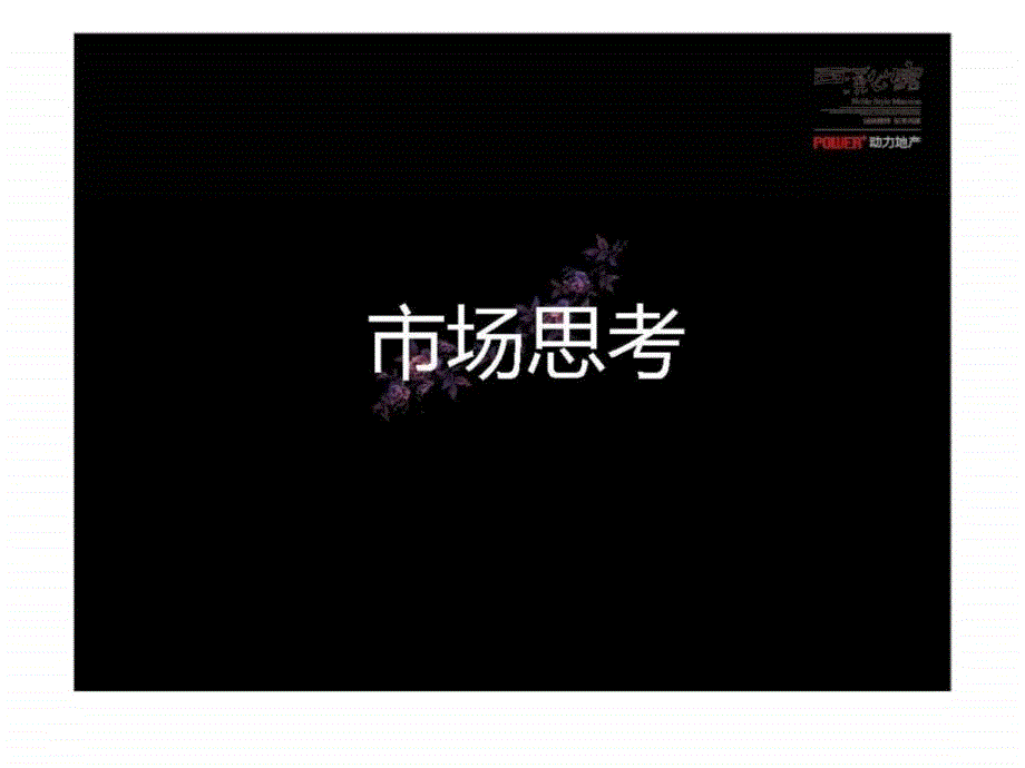 国恒西溪公馆营销广告策略方案_第2页