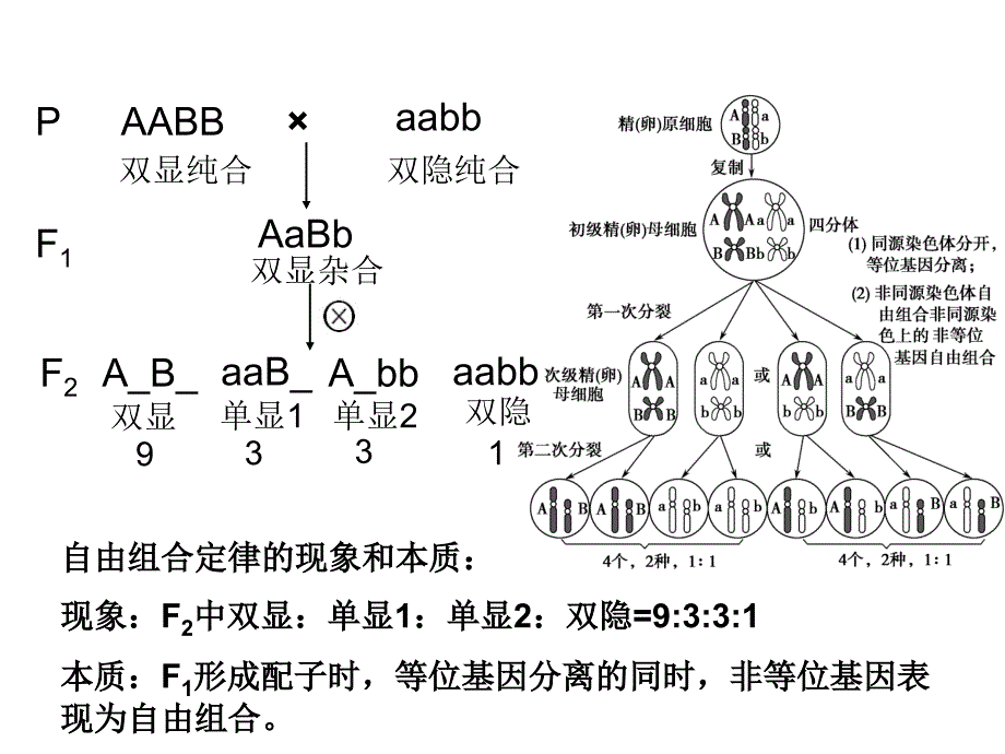 9331及其变式_第2页