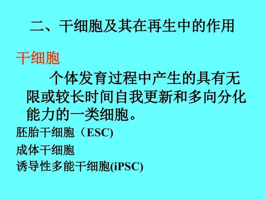 病理学课件：第二章 损伤的修复_第5页