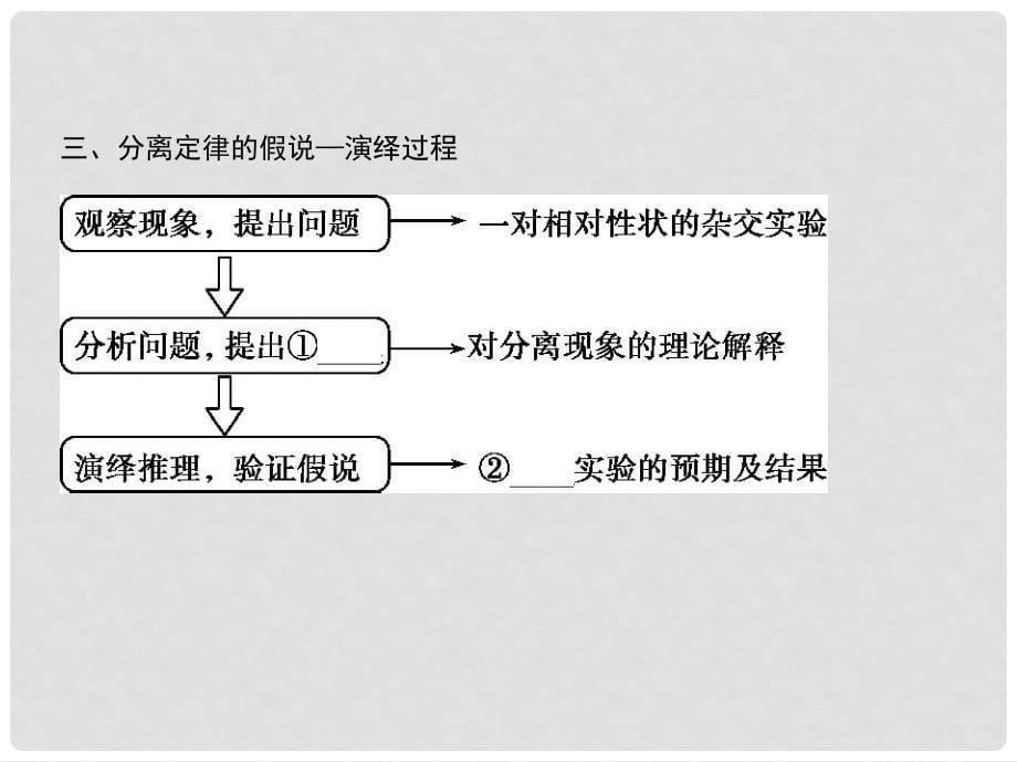 高考生物一轮复习 遗传与进化 第6单元 遗传的基本规律 第16讲 基因的分离定律课件（必修2）_第5页