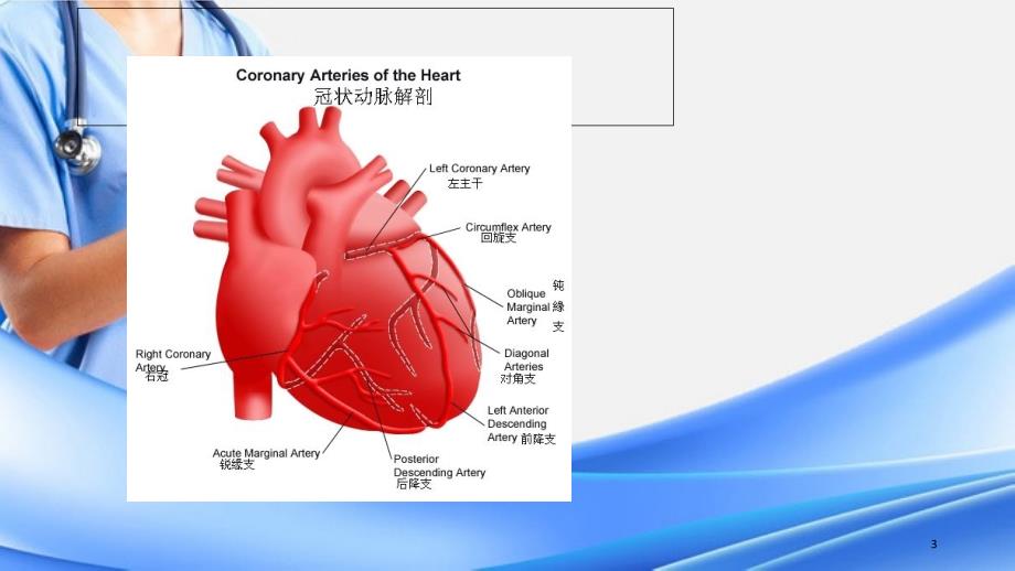 冠脉搭桥护理查房精选干货_第3页