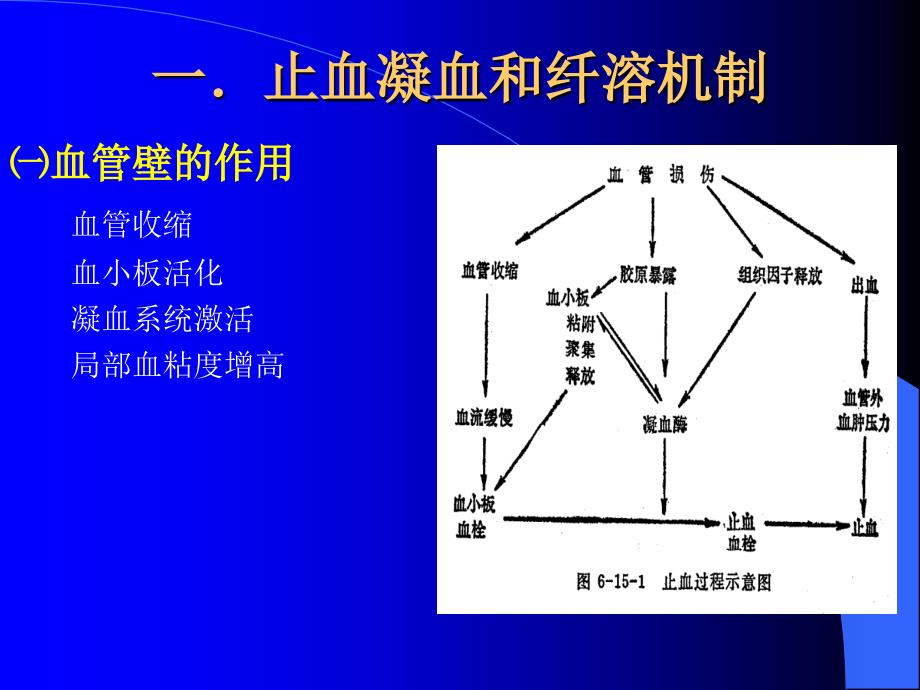 凝血luhua(诊断)_第3页