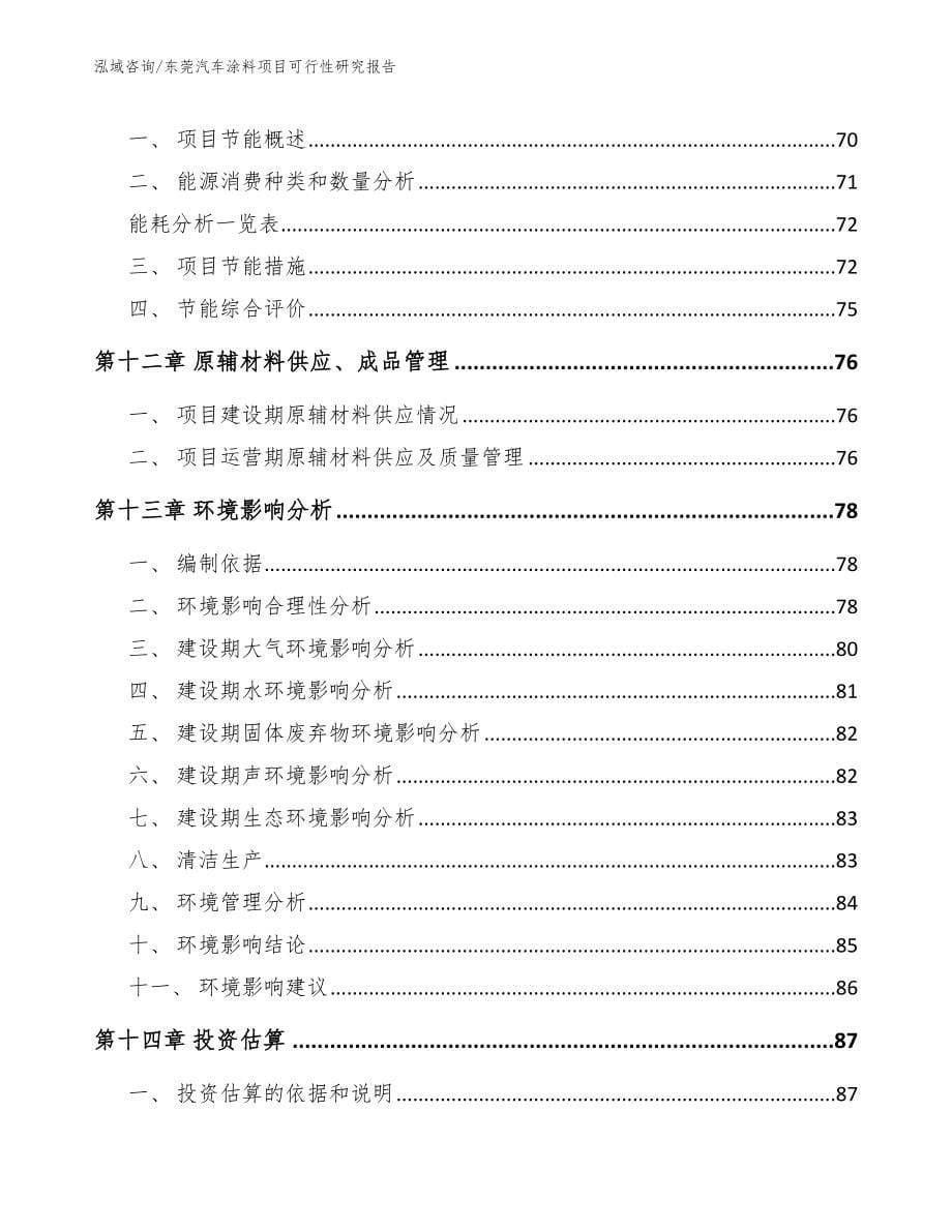 东莞汽车涂料项目可行性研究报告_范文模板_第5页