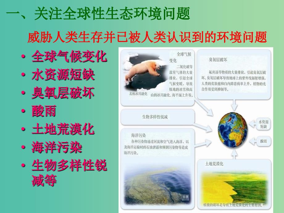 高中生物 第六章 第二节 保护我们共同的家园课件 新人教版必修3.ppt_第2页