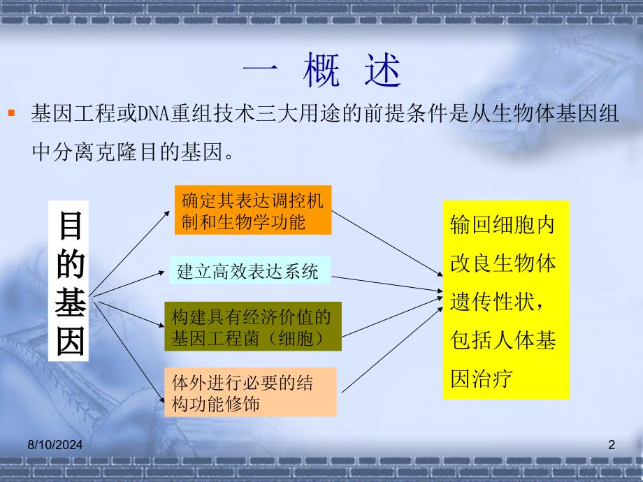 目的基因的制备ppt课件_第2页