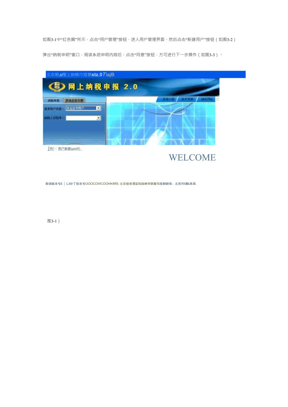 北京国税网上纳税申报系统(密码方式)说明书_第3页