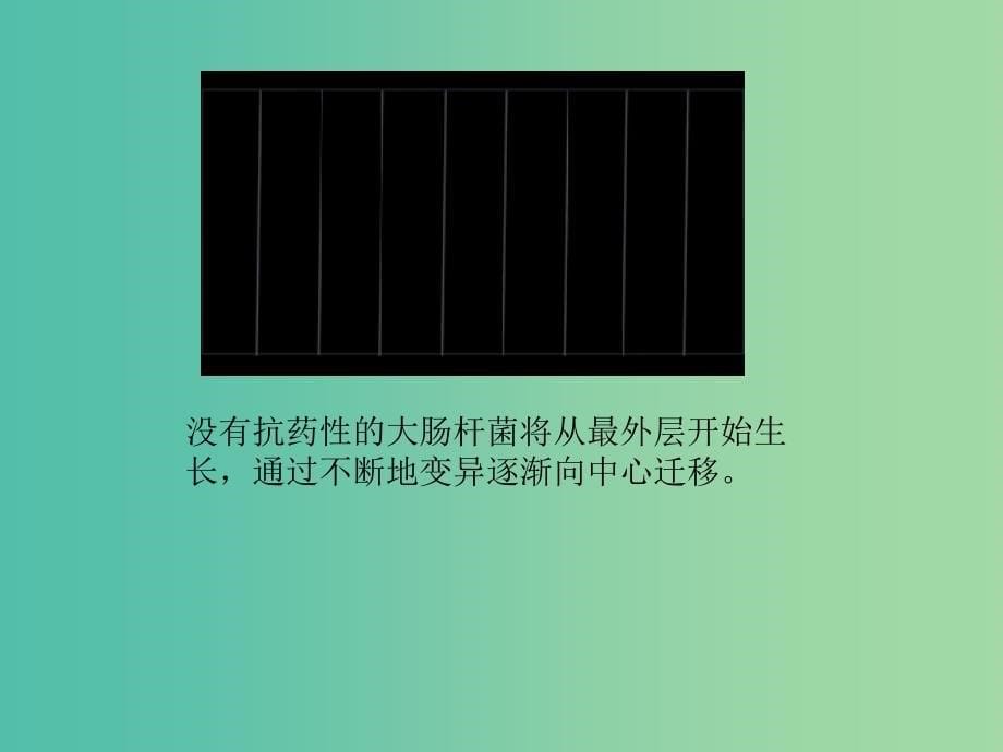 高中生物第一章遗传因子的发现1.1抗生素的合理使用课件新人教版.ppt_第5页