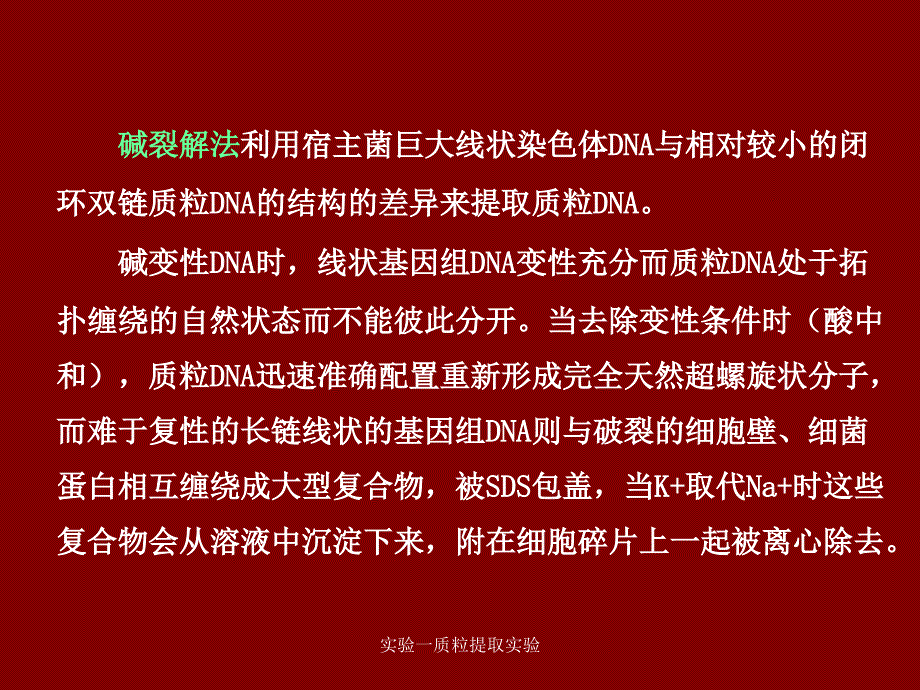 实验一质粒提取实验课件_第4页