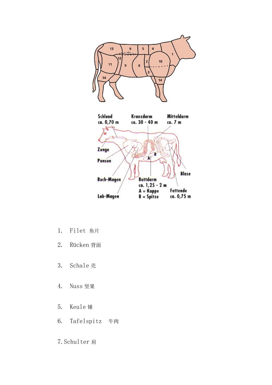 猪牛羊禽类身体各部位的重点标准德语说法_第4页