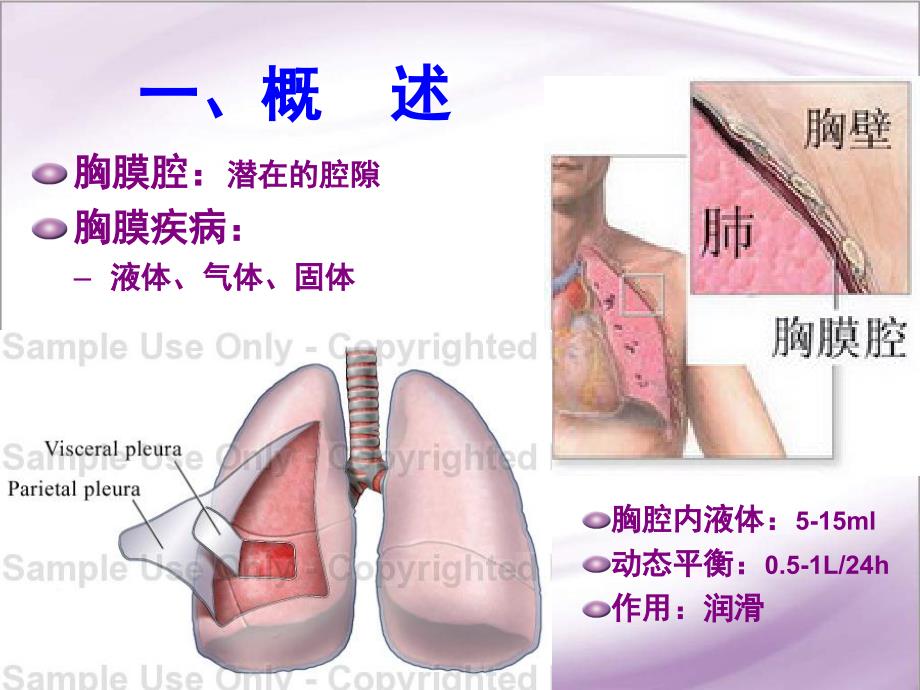 内科学教学课件：胸腔积液_第4页