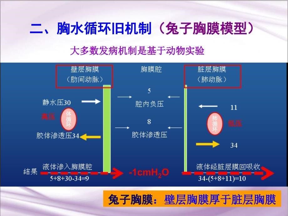 内科学教学课件：胸腔积液_第5页