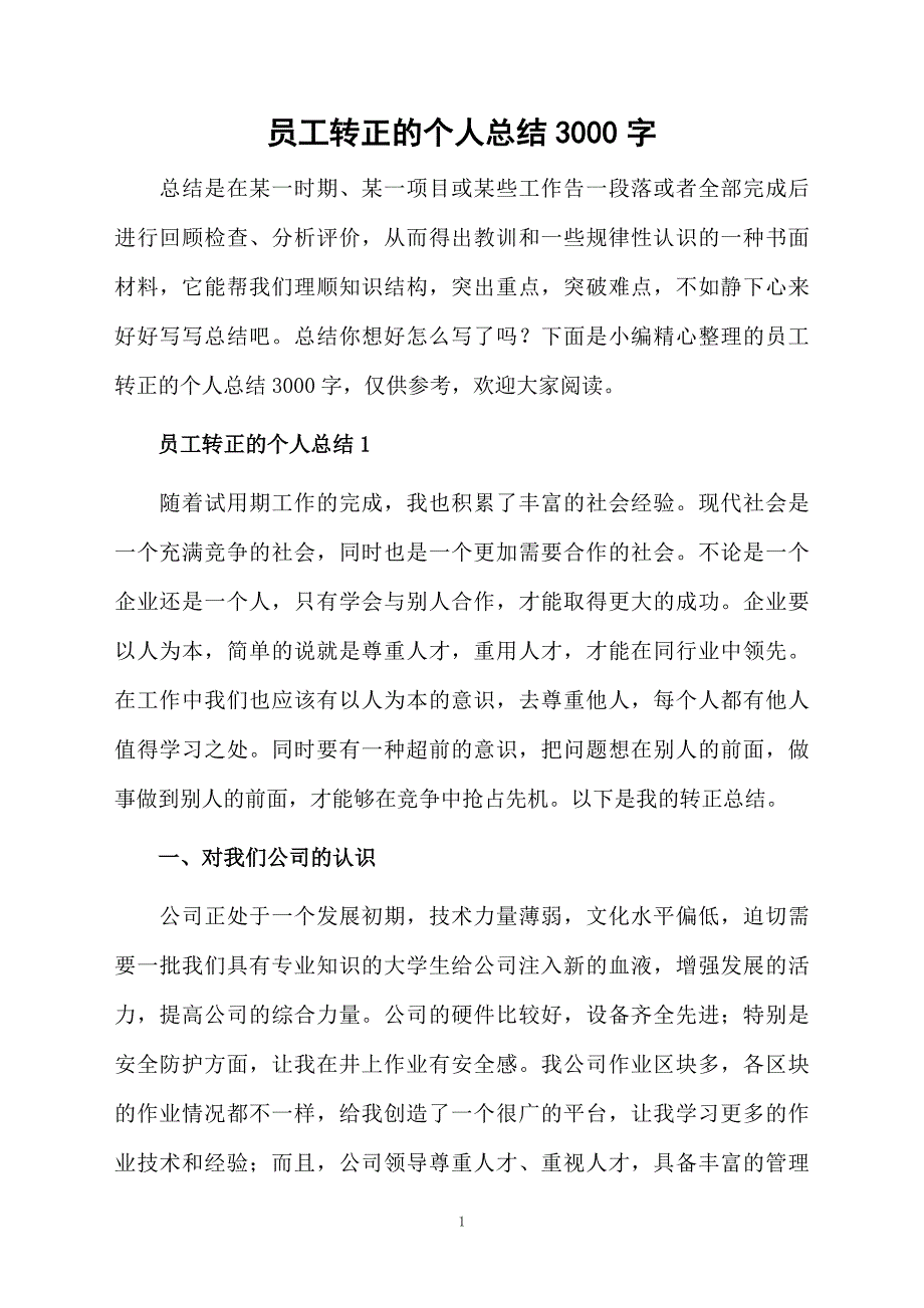 员工转正的个人总结3000字_第1页