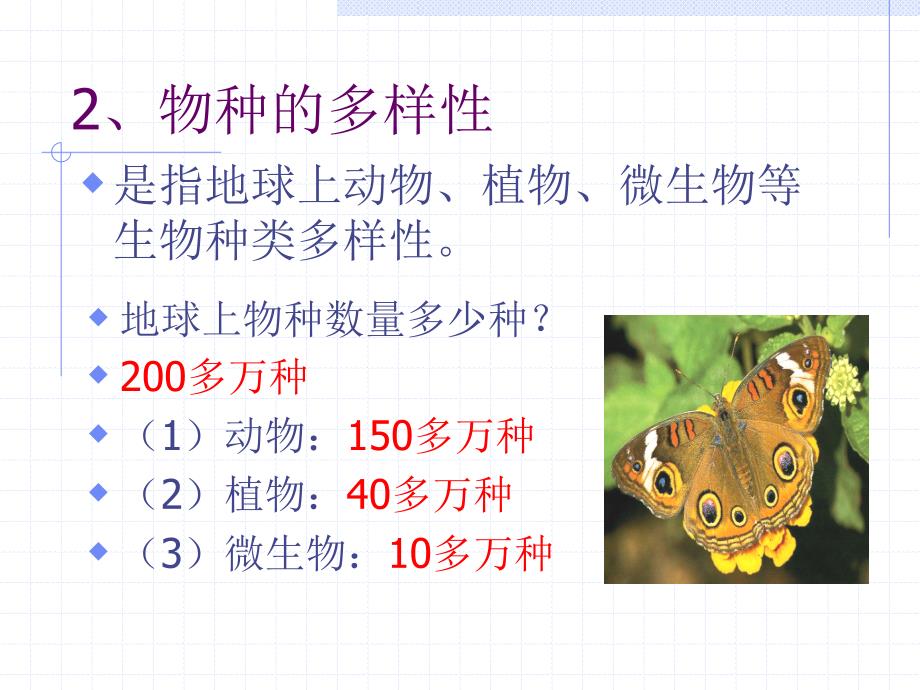 《生物多样性保护》PPT课件.ppt_第4页