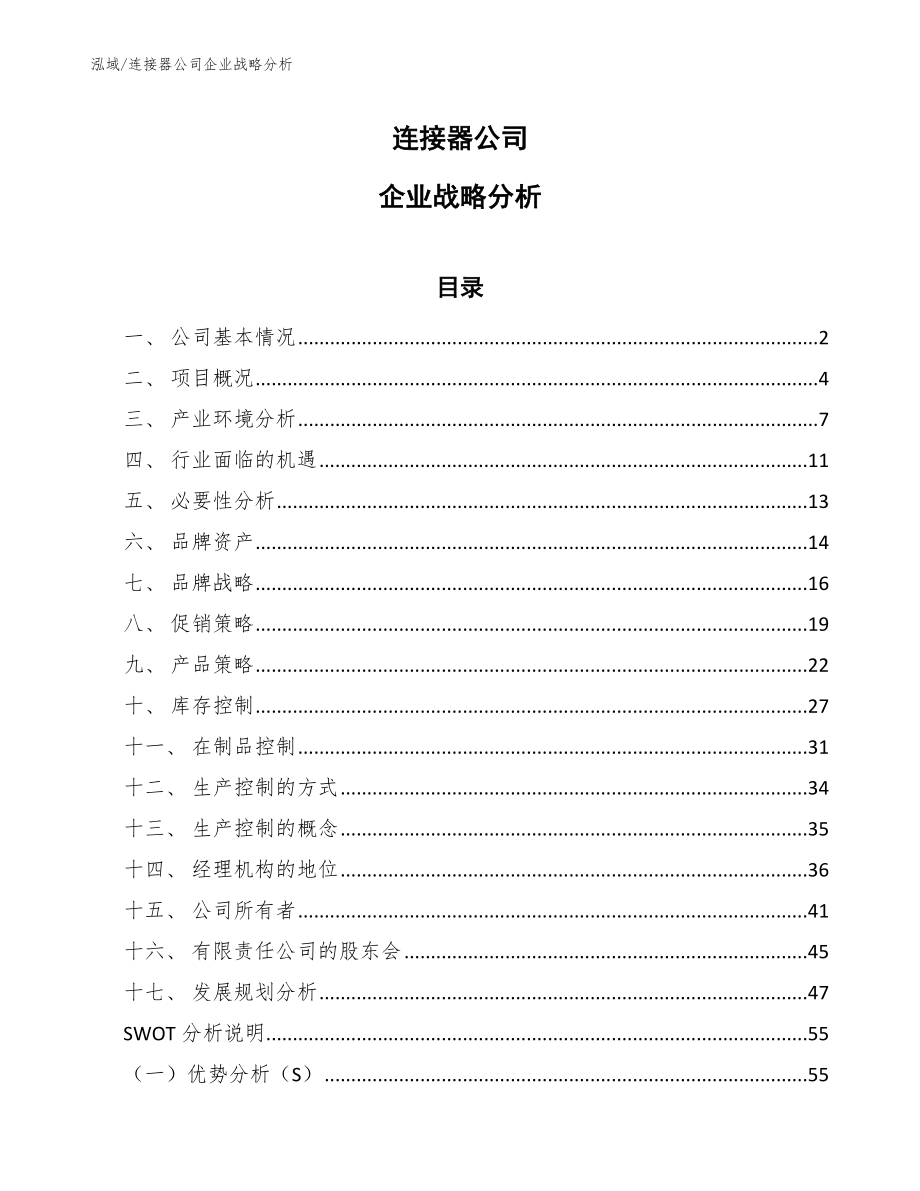 连接器公司企业战略分析（范文）_第1页