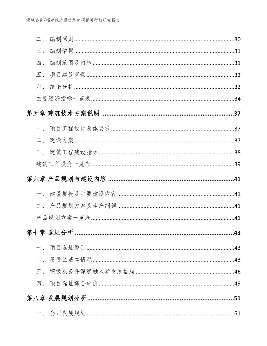 福建载波通信芯片项目可行性研究报告_模板范本_第2页