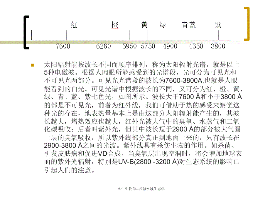 最新水生生物学--养殖水域生态学_第3页