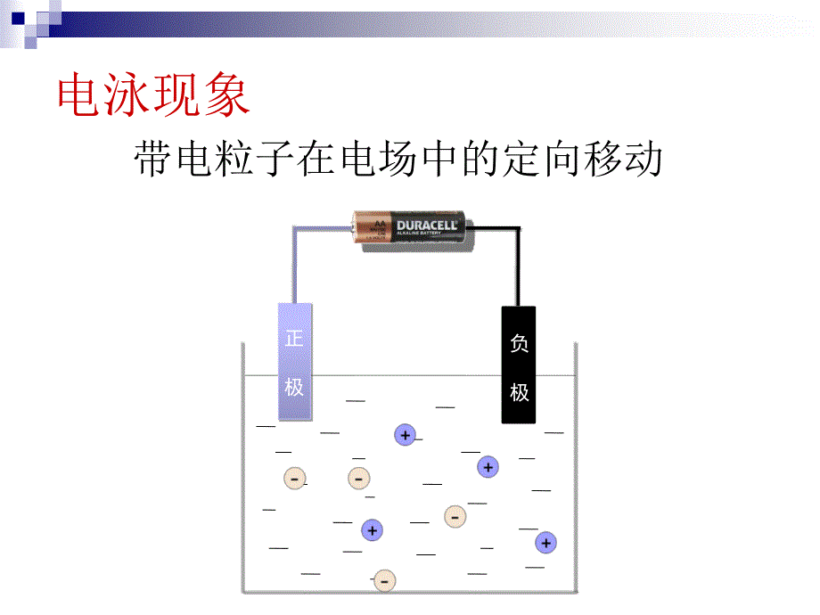 2-2电泳技术_第2页