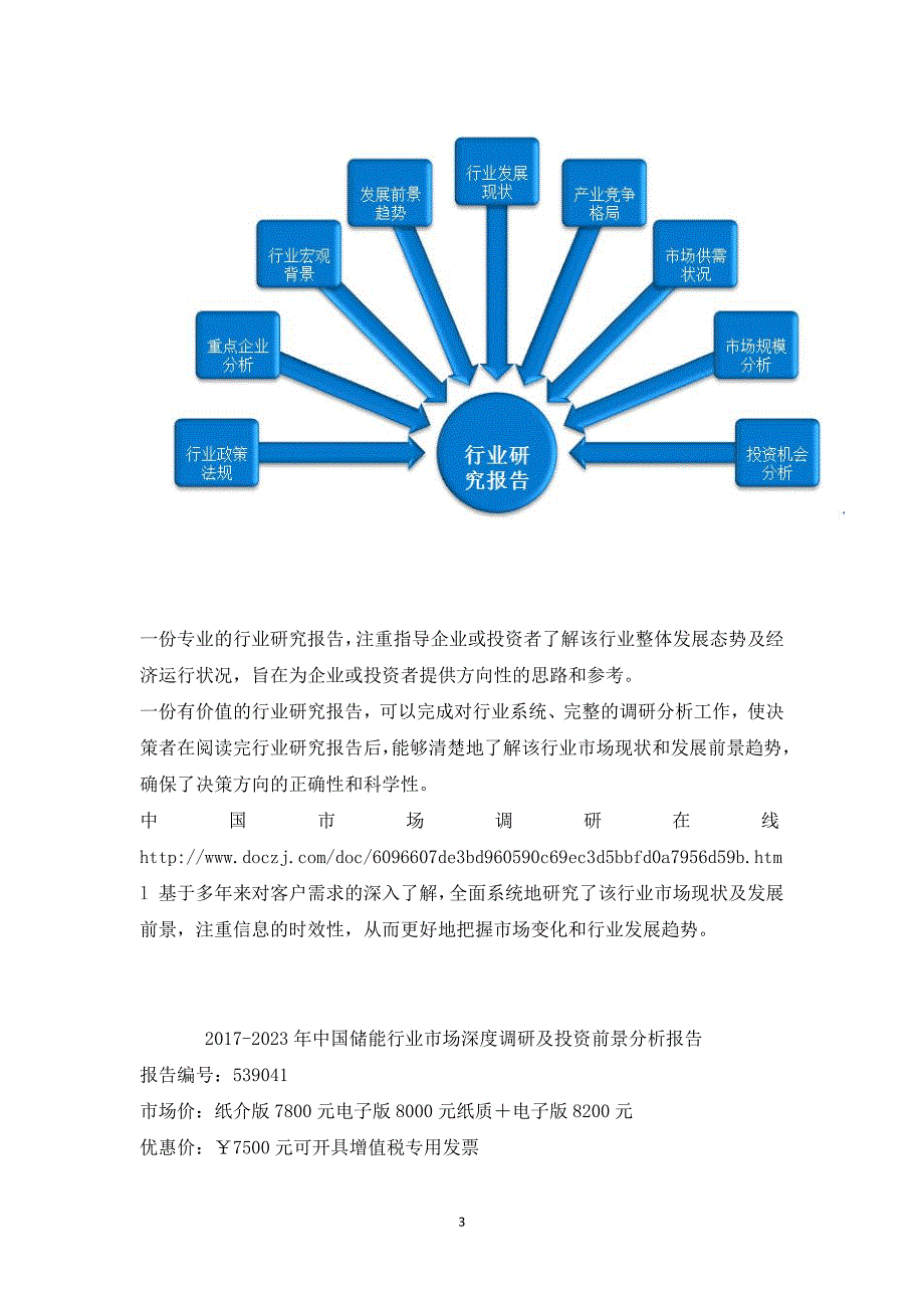 中国储能行业调研报告_第3页