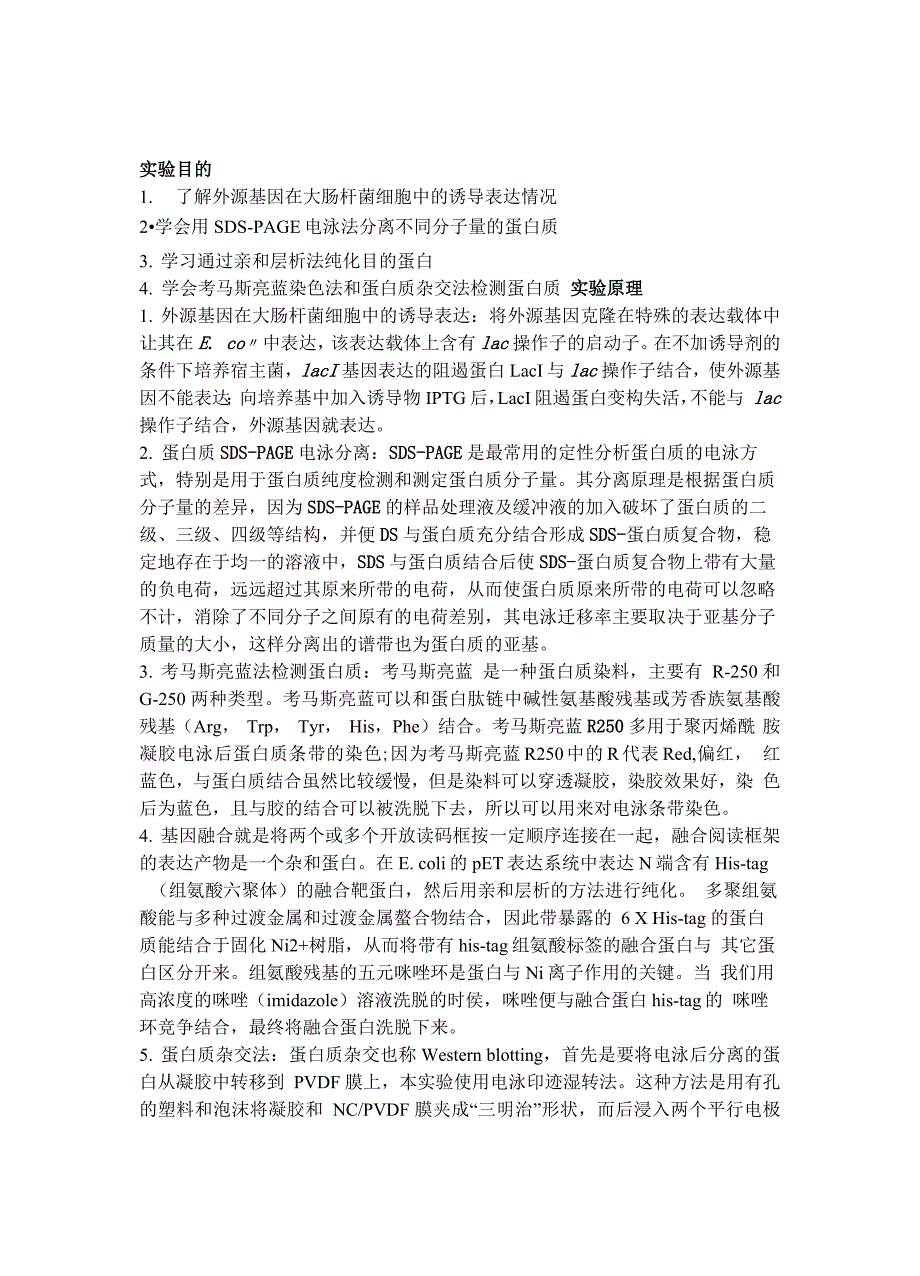 蛋白质的表达、纯化及检测_第1页