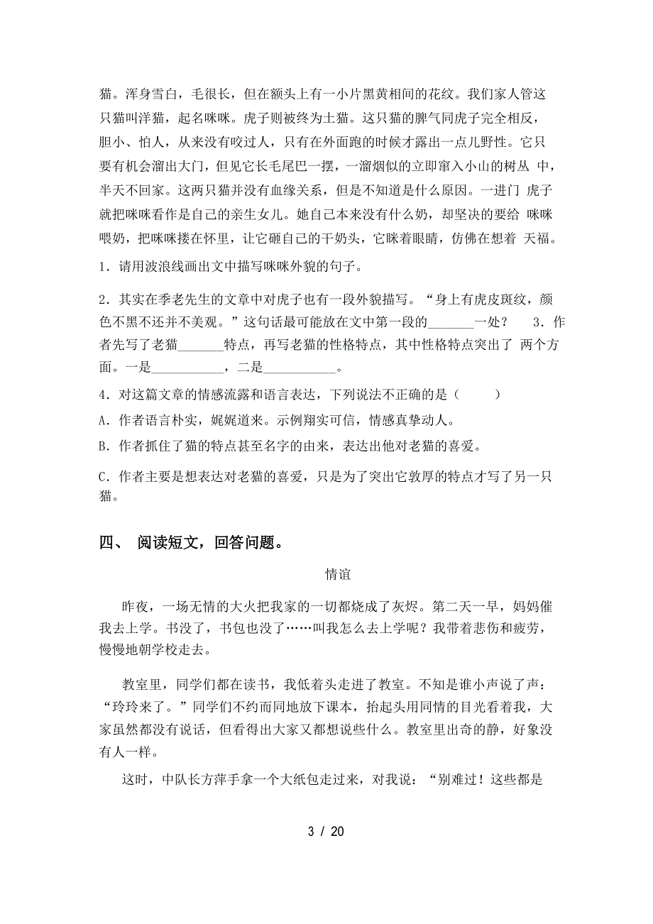 人教版四年级上册语文短文阅读_第3页