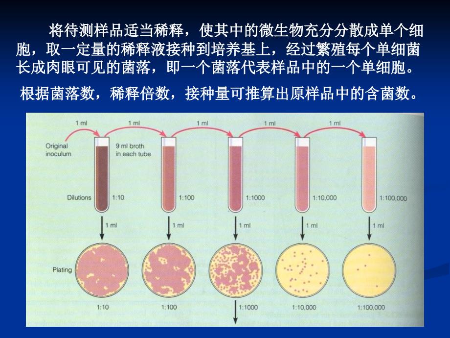 实验九土壤微生物的分离与计数_第4页