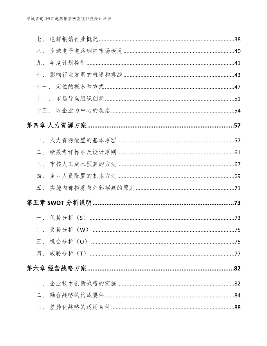 阳江电解铜箔研发项目投资计划书模板范文_第2页