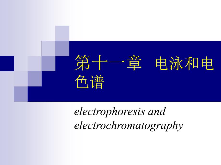 第十一章电泳和电色谱_第1页