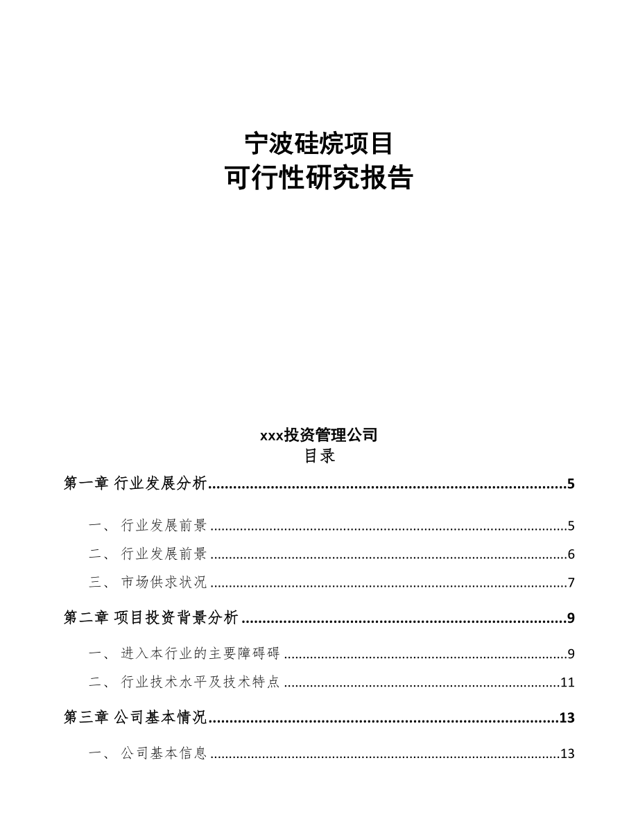 宁波硅烷项目可行性研究报告(DOC 55页)_第1页