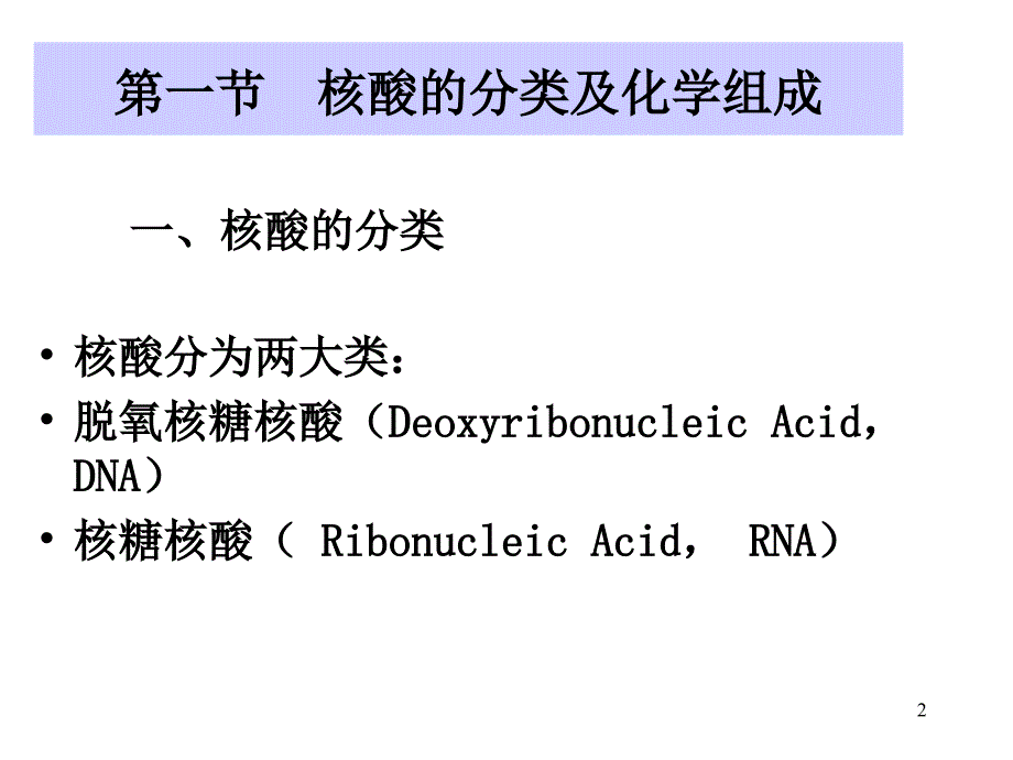 生物大分子的结构与功能核酸篇课件_第2页