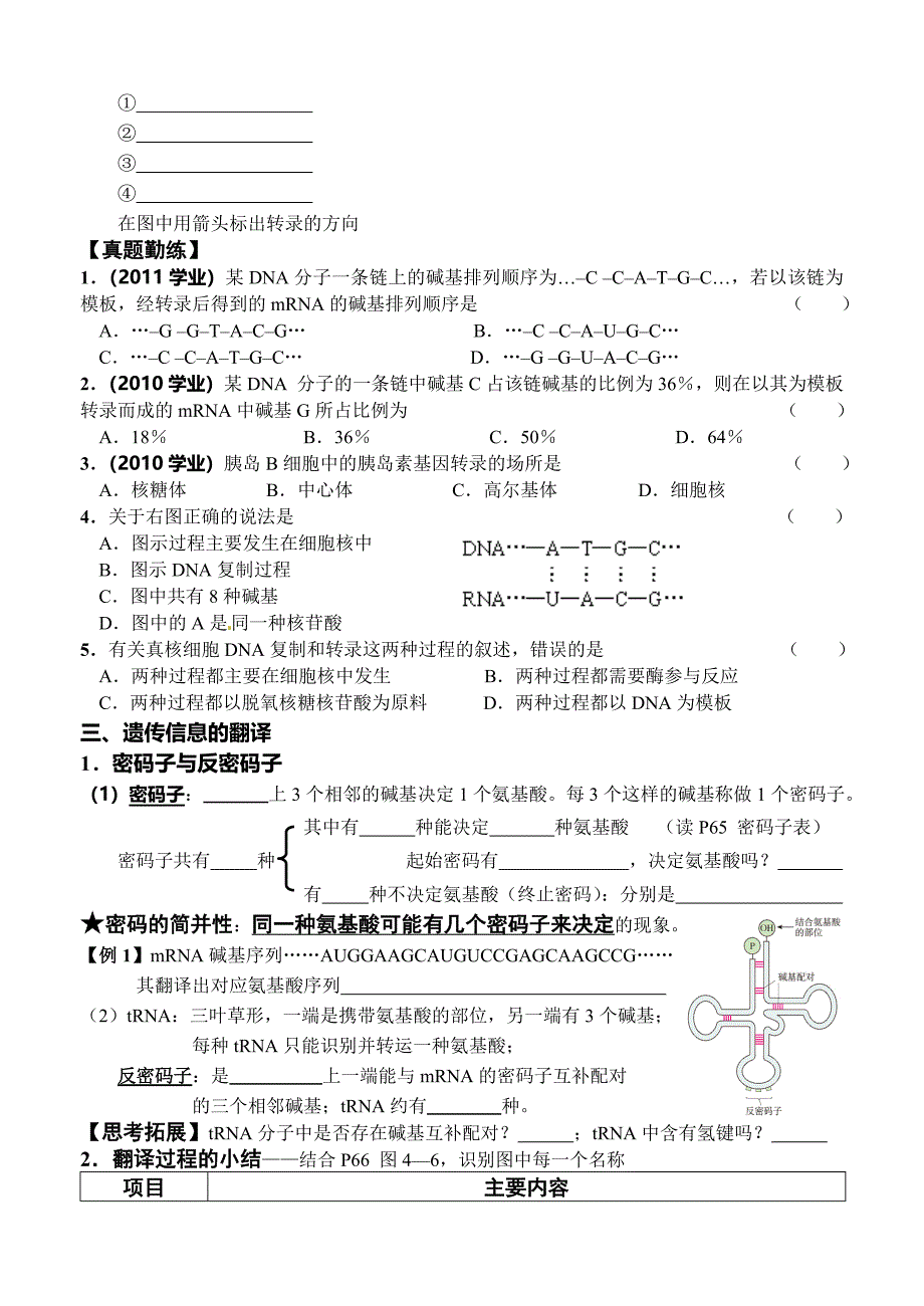 第1节基因指导蛋白质的合成_第2页