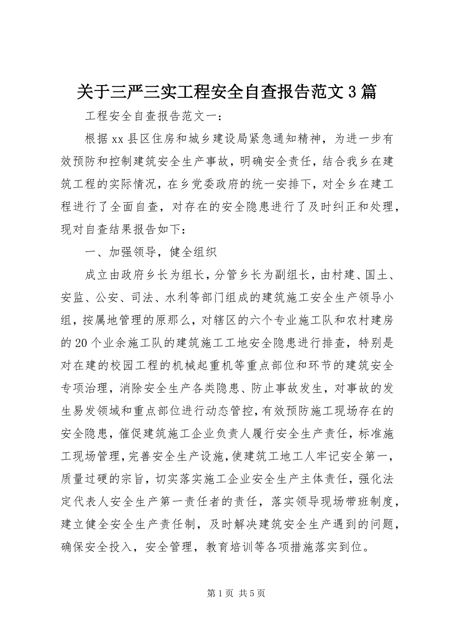 2023年关于三严三实工程安全自查报告篇.docx_第1页