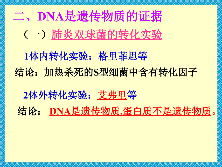 DNA是主要的遗传物质新_第4页