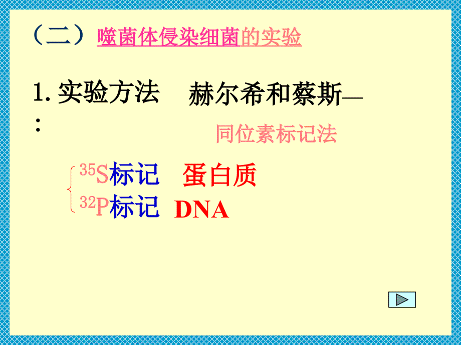 DNA是主要的遗传物质新_第5页