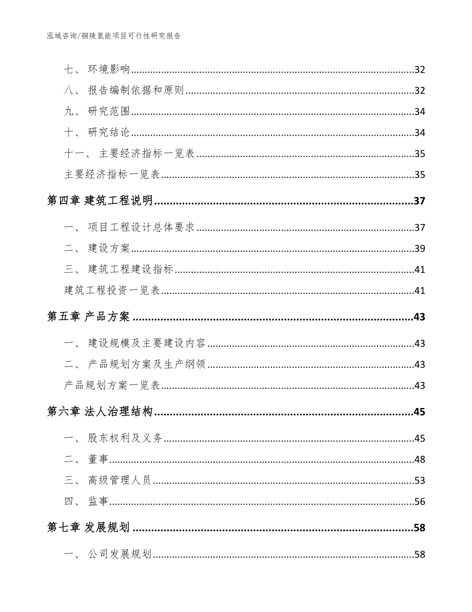 铜陵氢能项目可行性研究报告（模板参考）_第3页