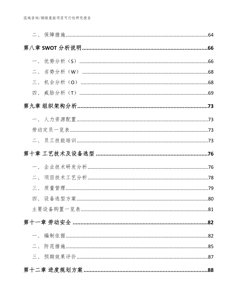 铜陵氢能项目可行性研究报告（模板参考）_第4页