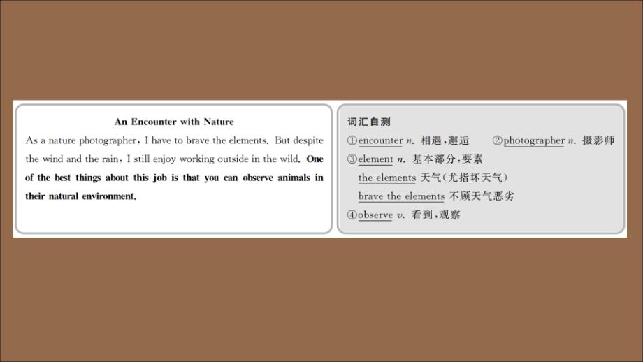 2019-2020学年新教材高中英语 Unit 5 Into the wild Period Ⅲ Developing ideas课件 外研版必修第一册_第3页