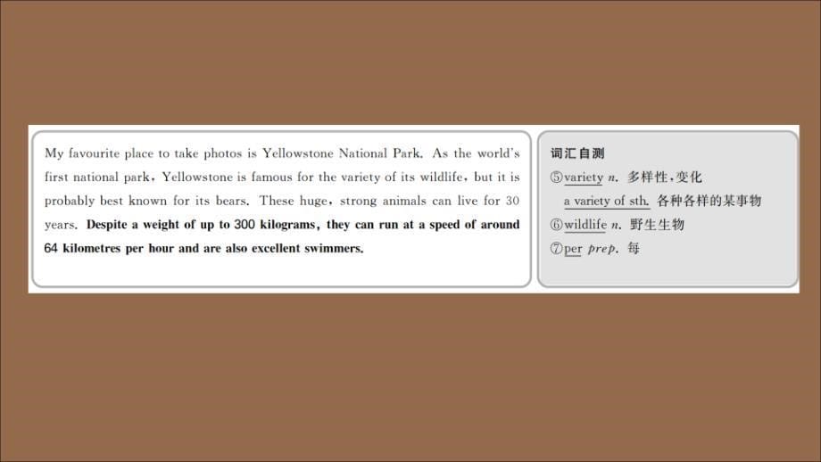 2019-2020学年新教材高中英语 Unit 5 Into the wild Period Ⅲ Developing ideas课件 外研版必修第一册_第5页