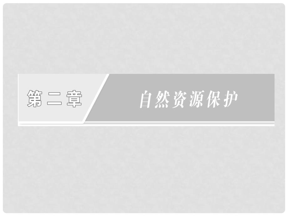 高中地理 第二章 第二节 非可再生资源的利用与保护 以能源矿产 (石油、煤炭)为例课件 湘教版选修6_第2页