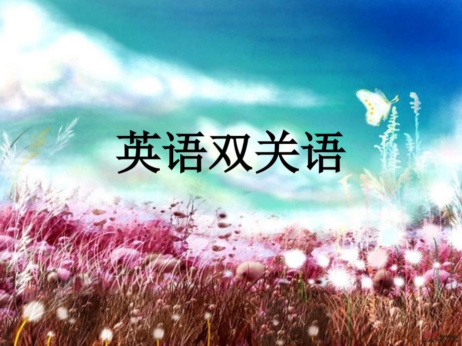 英语中双关词_第1页