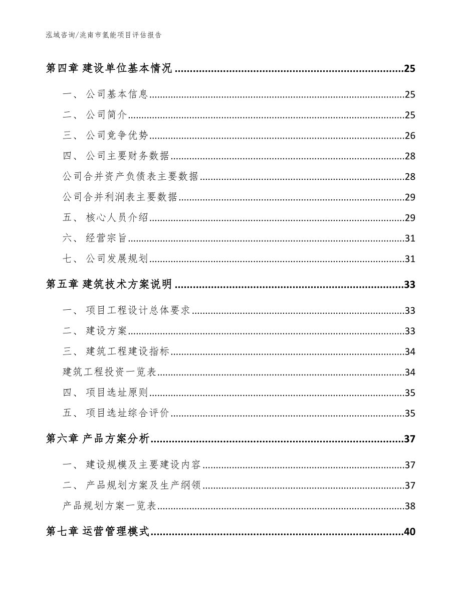 洮南市氢能项目评估报告【模板参考】_第2页