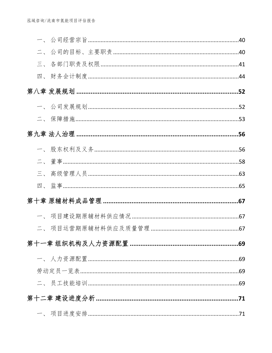 洮南市氢能项目评估报告【模板参考】_第3页