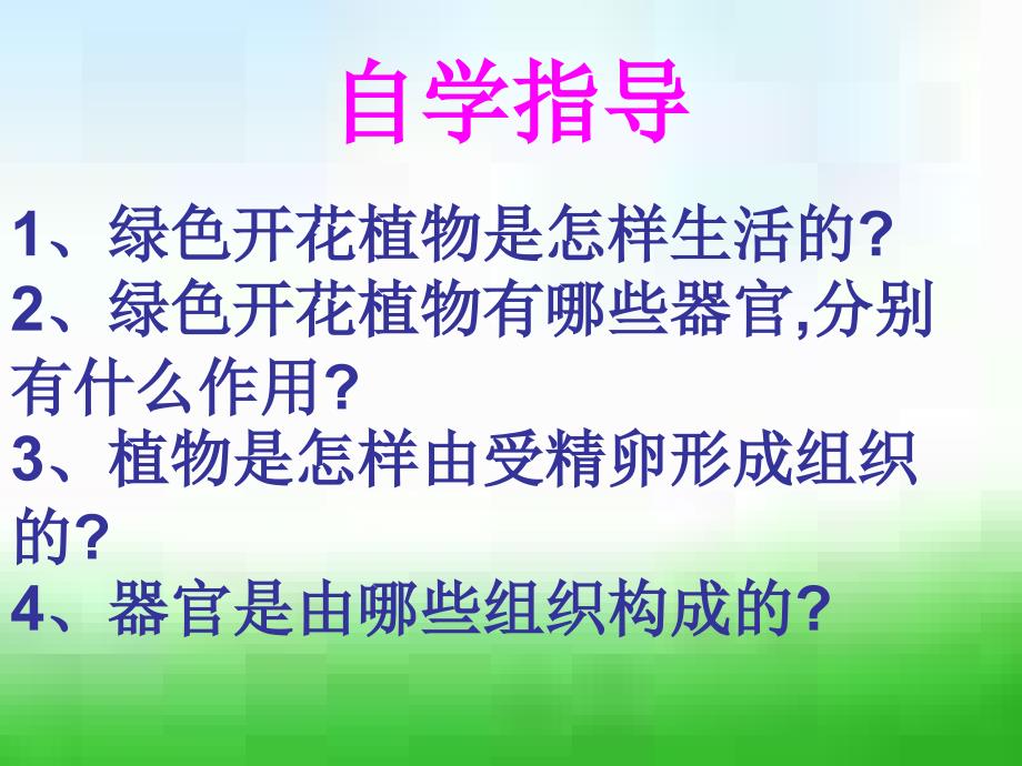 九年级物理植物体的结构层_第3页