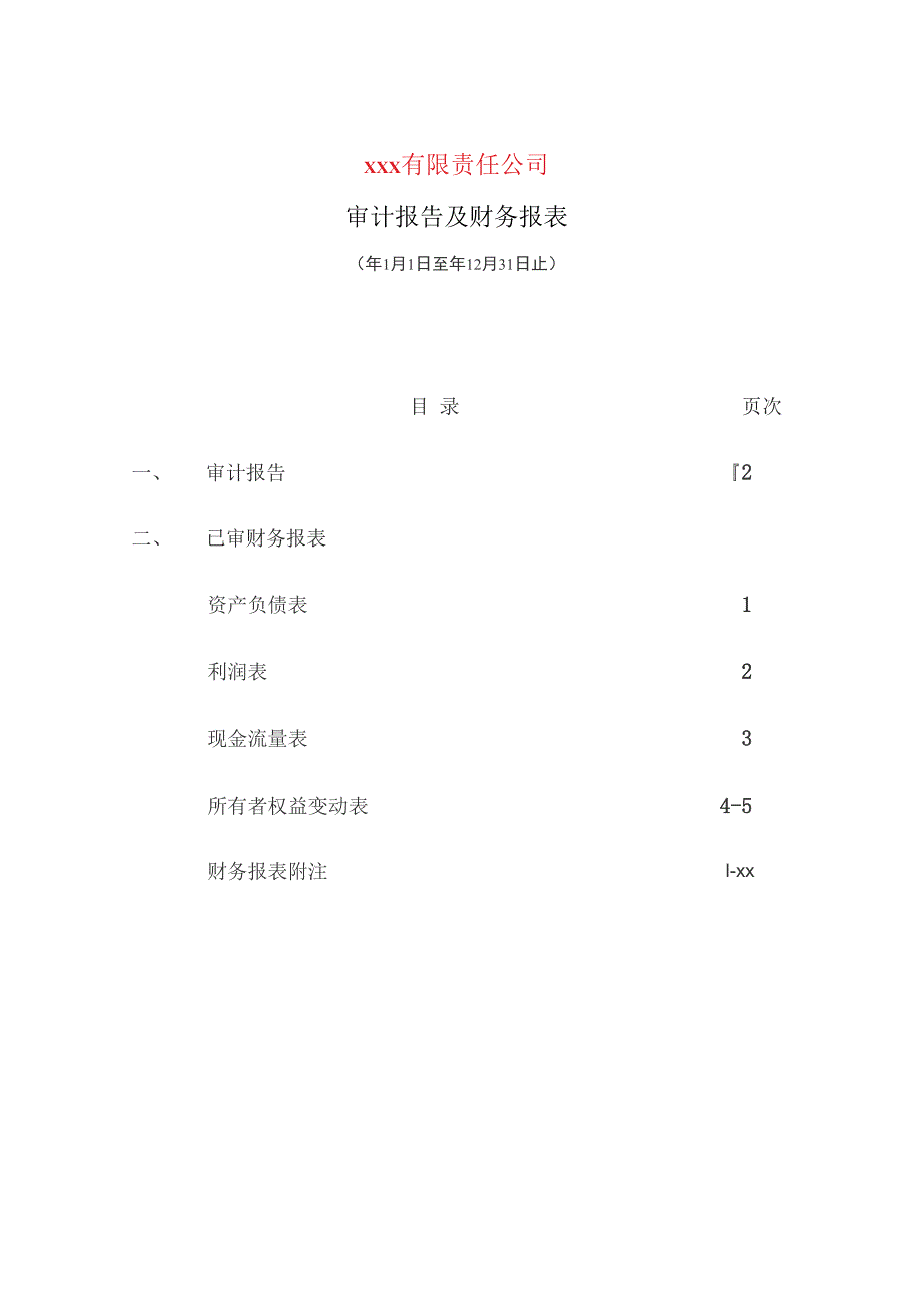 三资企业-审计报告及附注_第2页