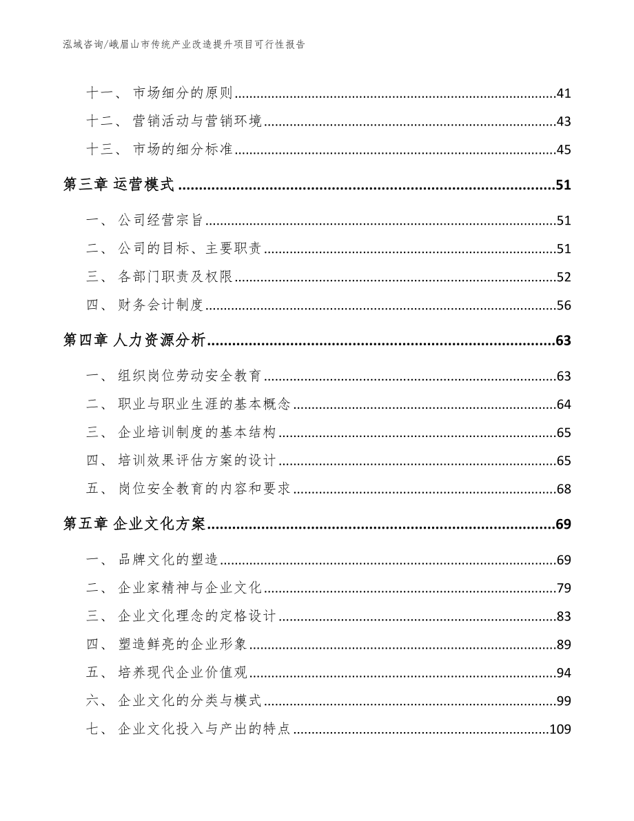 峨眉山市传统产业改造提升项目可行性报告【模板范文】_第3页