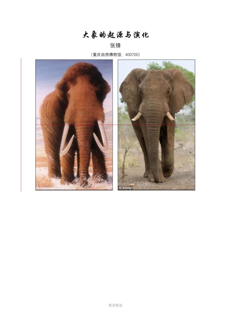 大象的起源与演化_第1页