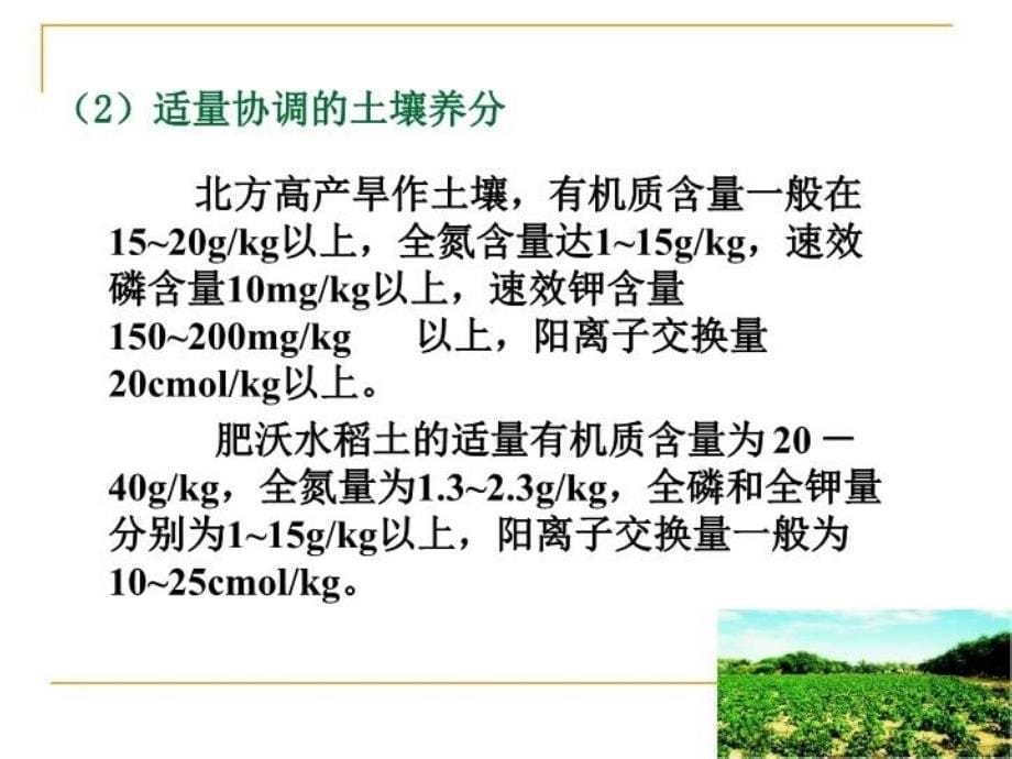 最新土壤培肥ppt课件_第5页