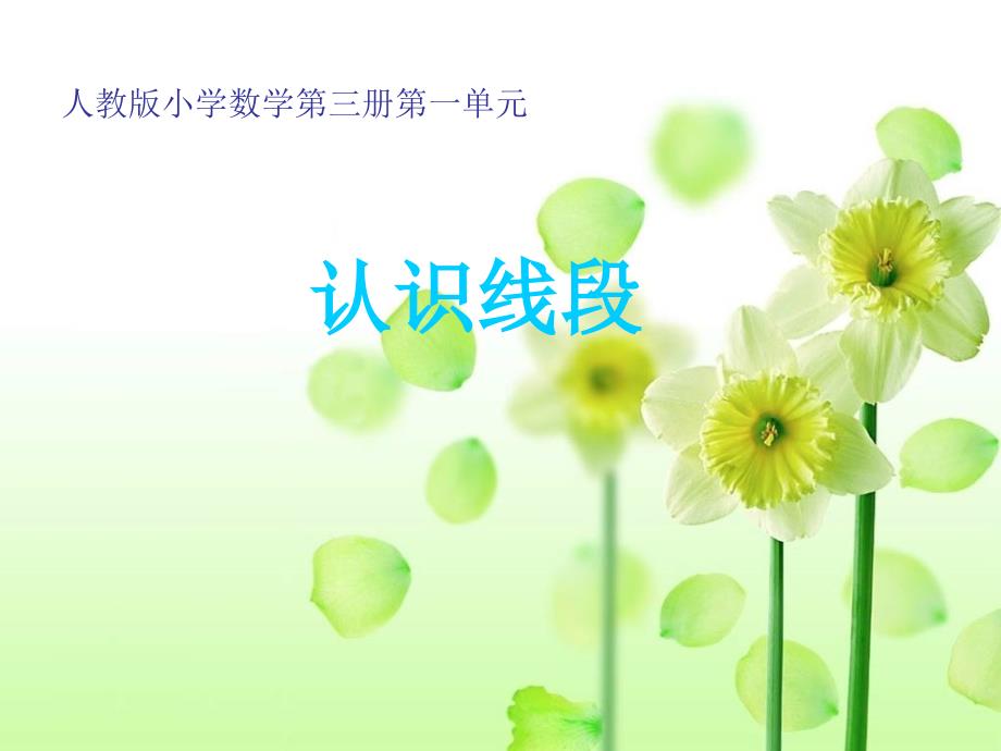 二年级线段课件_第1页