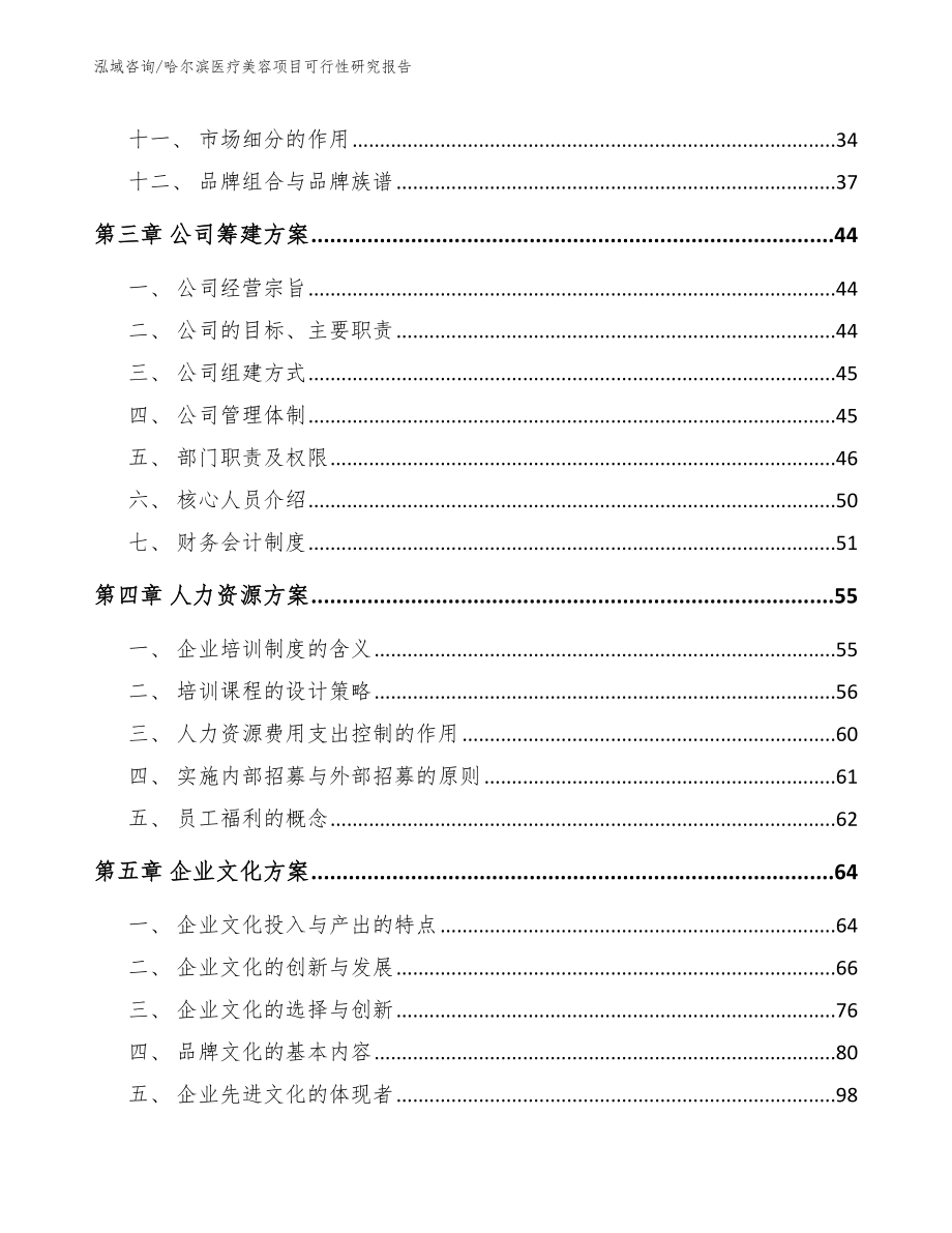 哈尔滨医疗美容项目可行性研究报告（范文参考）_第2页