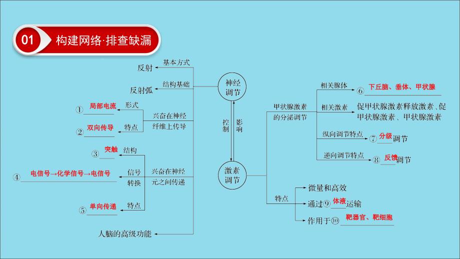 2019年高考生物二轮复习 第1部分 专题突破 第9讲 人体生命活动的调节课件_第4页