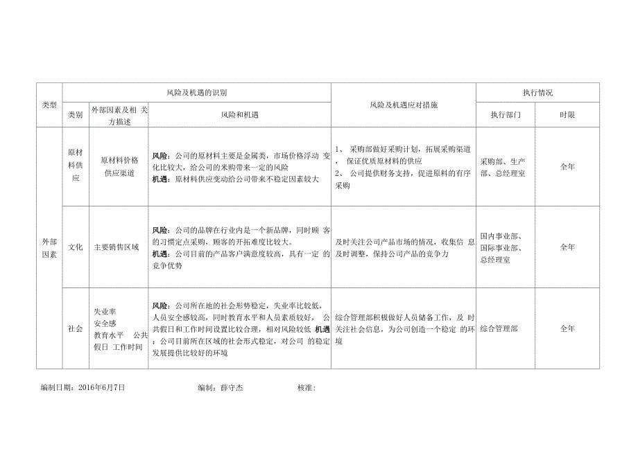 风险和机遇识别_第5页